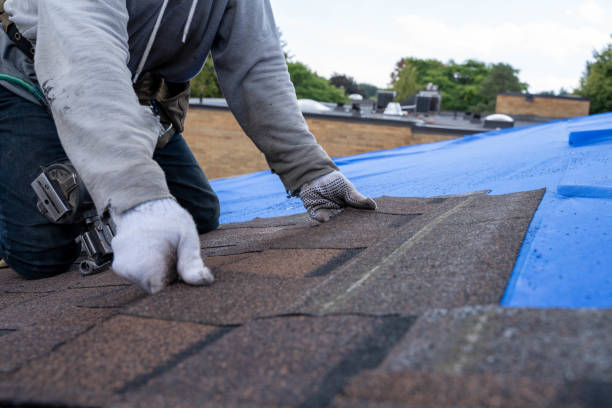 Roof Coating Services in Big Rock, IL