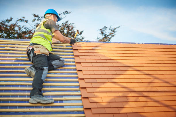 Best Solar Panel Roofing Installation  in Big Rock, IL